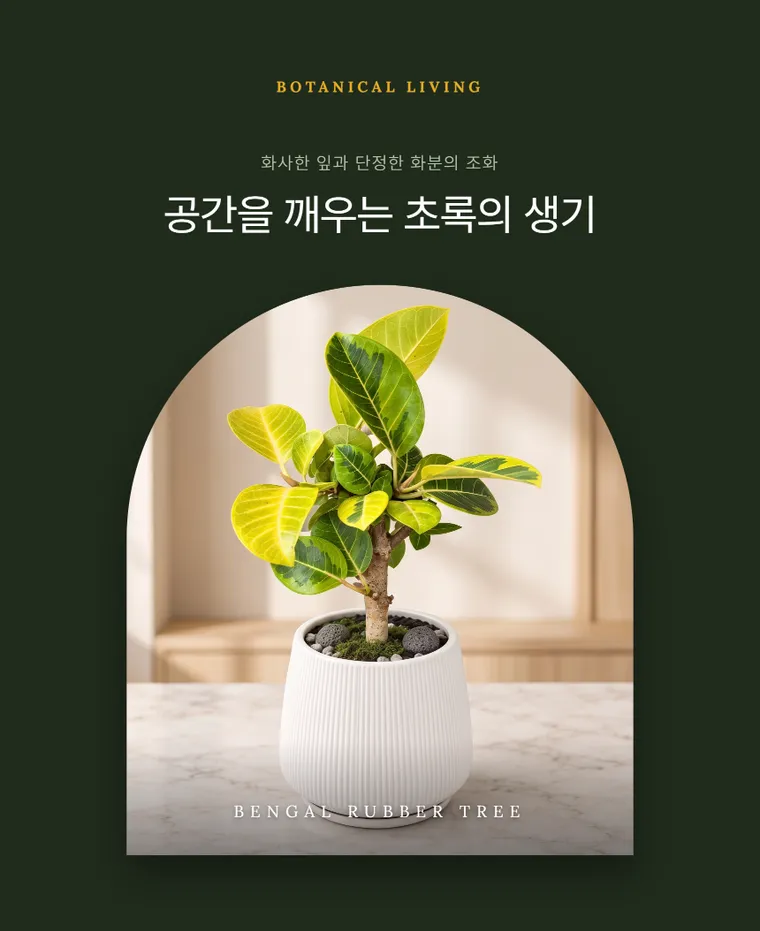 뱅갈고무나무 T — 상품 상세