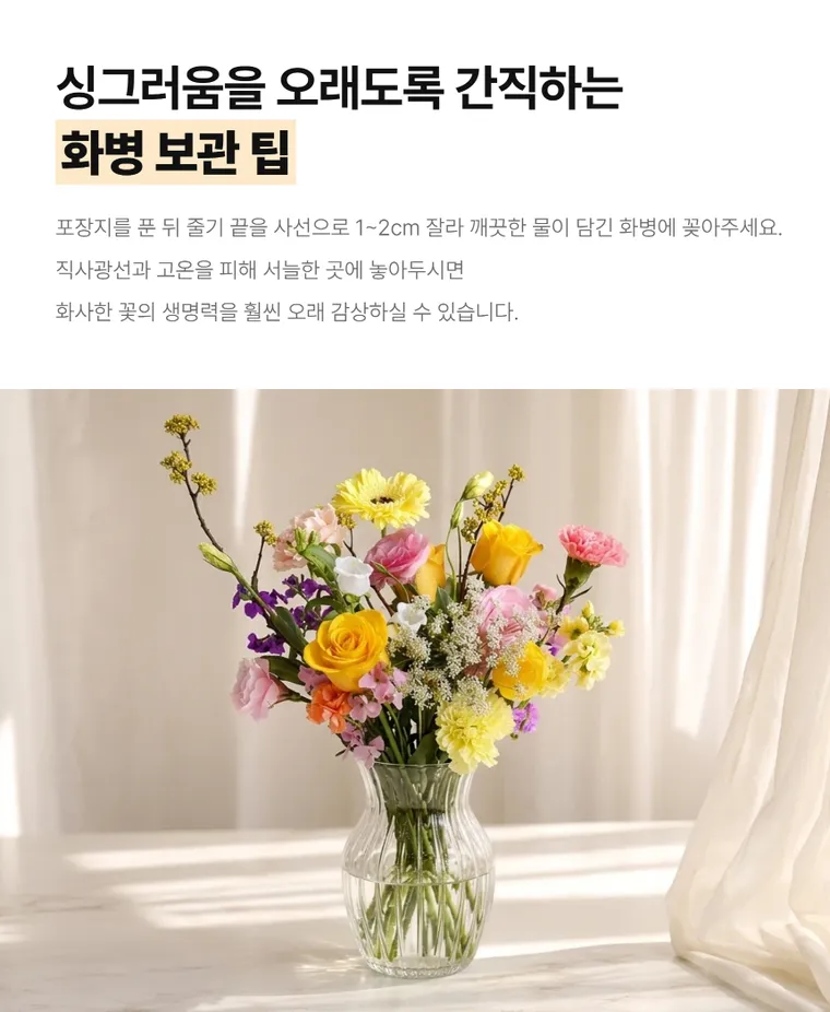 하늘빛설렘 — 상품 상세