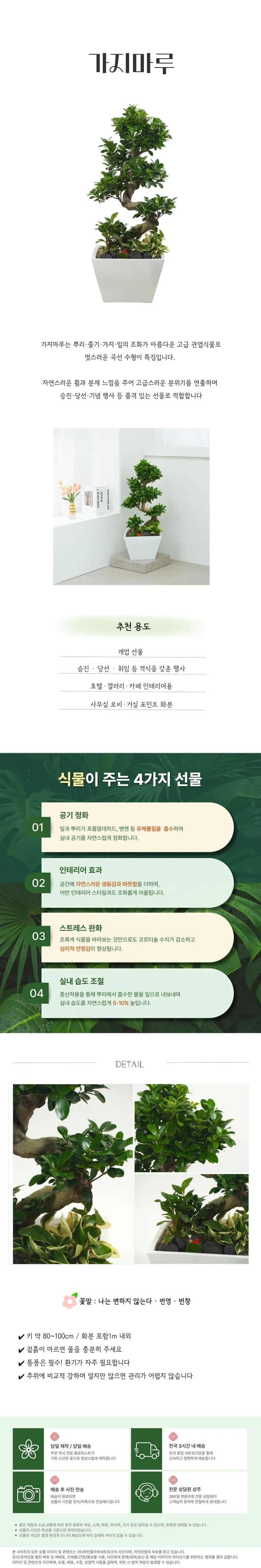 가지마루 — 상품 상세