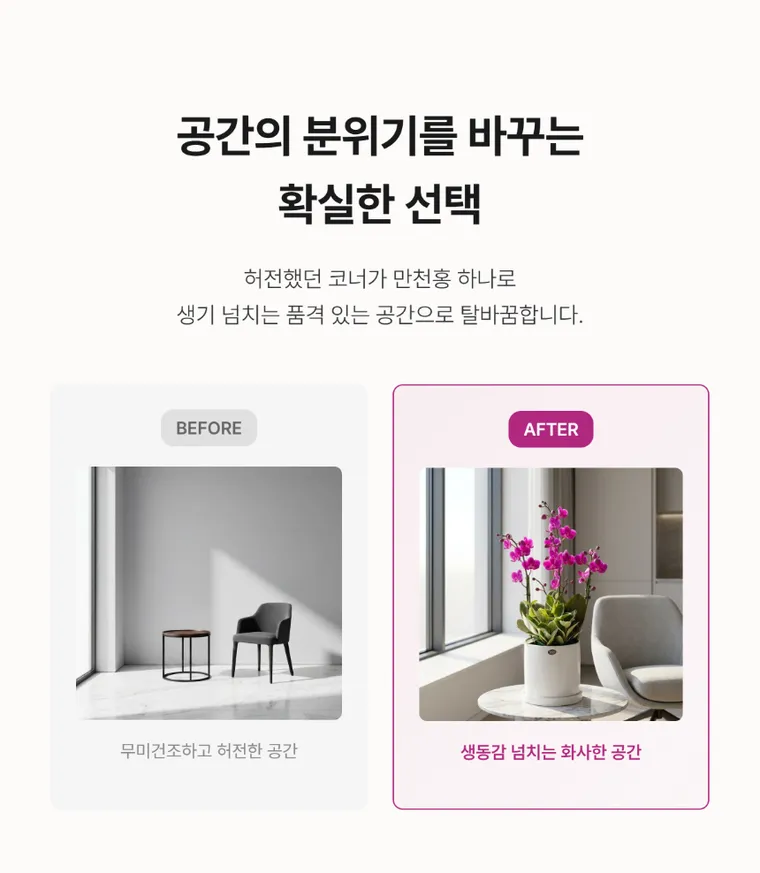 만천홍 B — 상품 상세