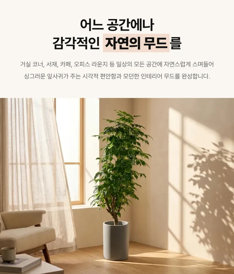 China Doll Plant A — Detail images