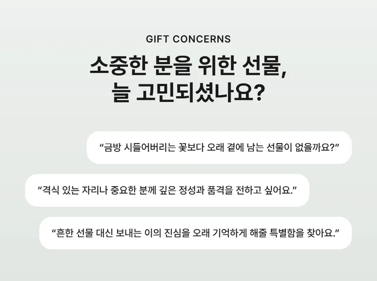 소나무분재 C — 상품 상세