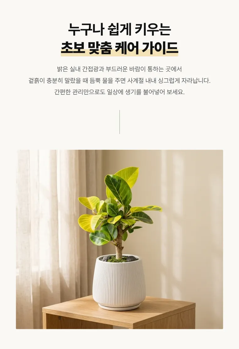 뱅갈고무나무 T — 상품 상세