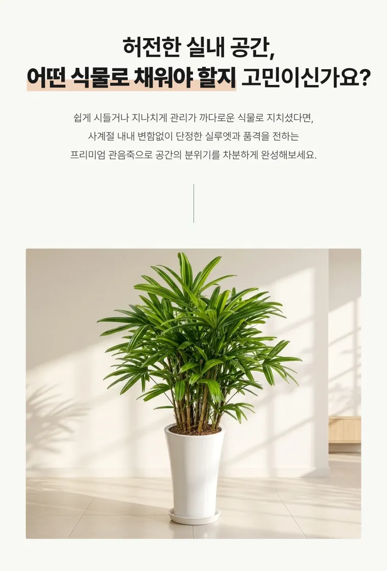 관음죽 — 상품 상세