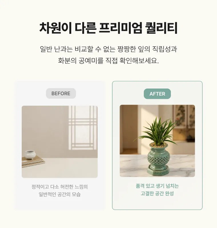 대국(미니투각분) — 상품 상세