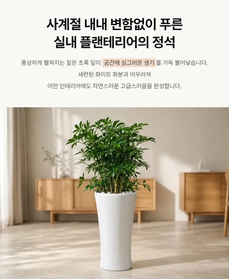 鹅掌柴 — 详情图