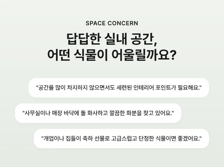 율마 — 상품 상세
