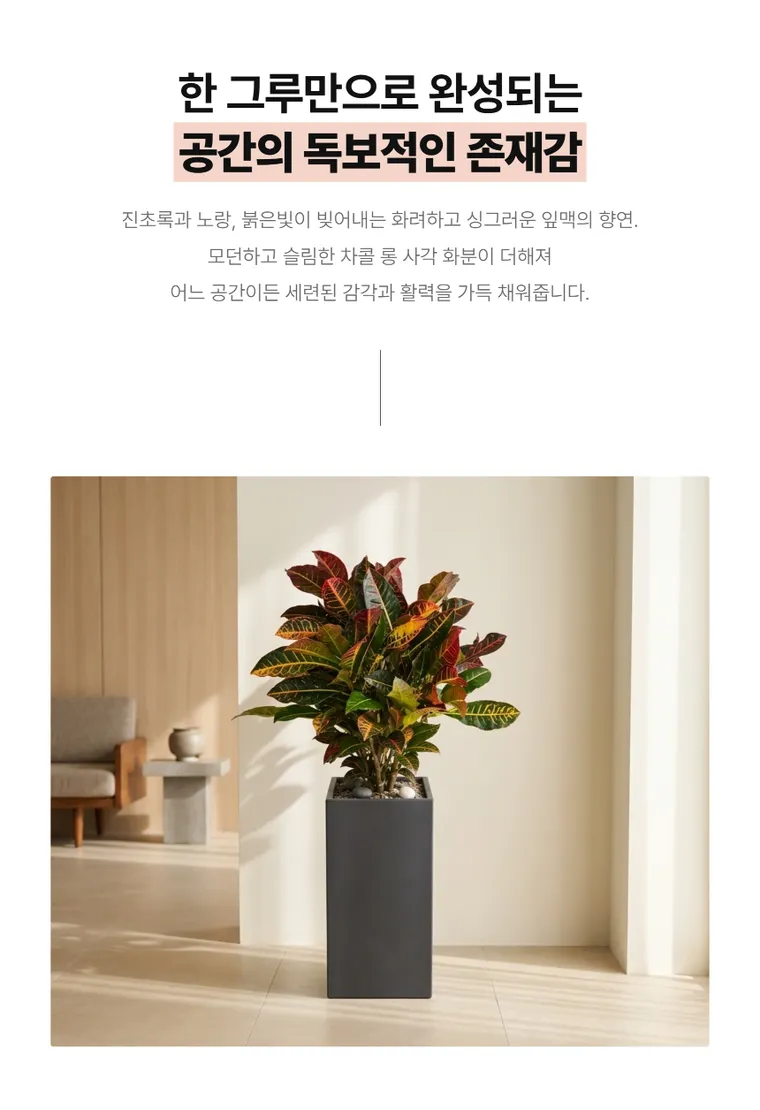 크로톤 A — 상품 상세