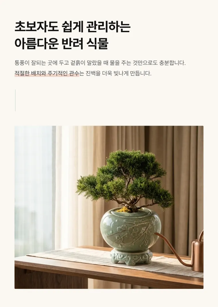 Bonsai bách xù B — Hình chi tiết