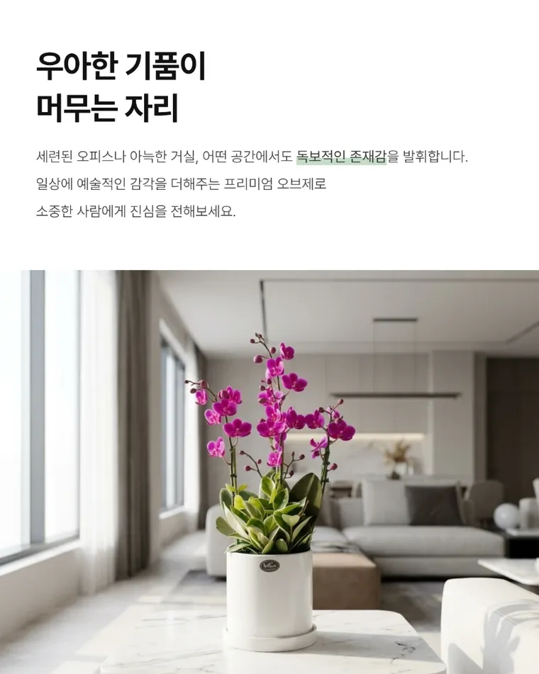 만천홍 B — 상품 상세
