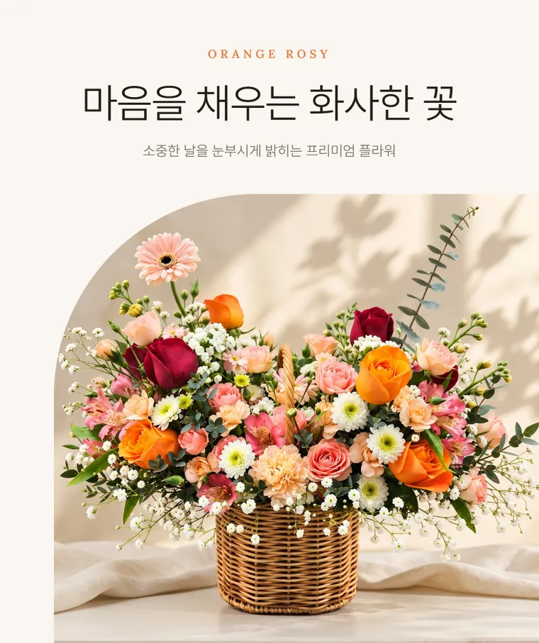 오렌지로지 — 상품 상세