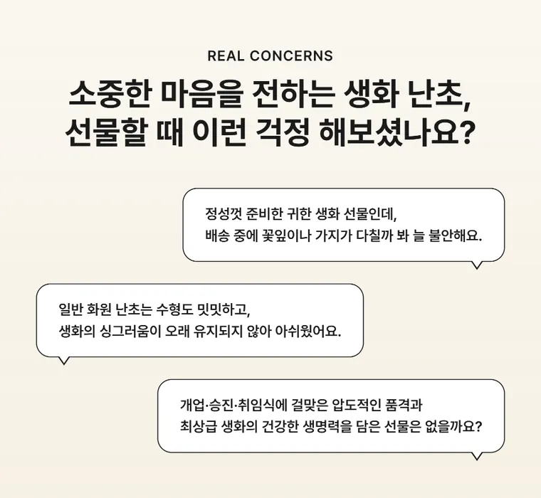 골든 오키드 그랑 — 상품 상세