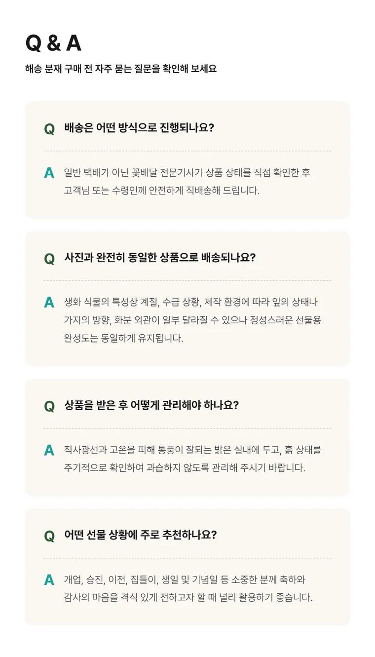 해송 C — 상품 상세