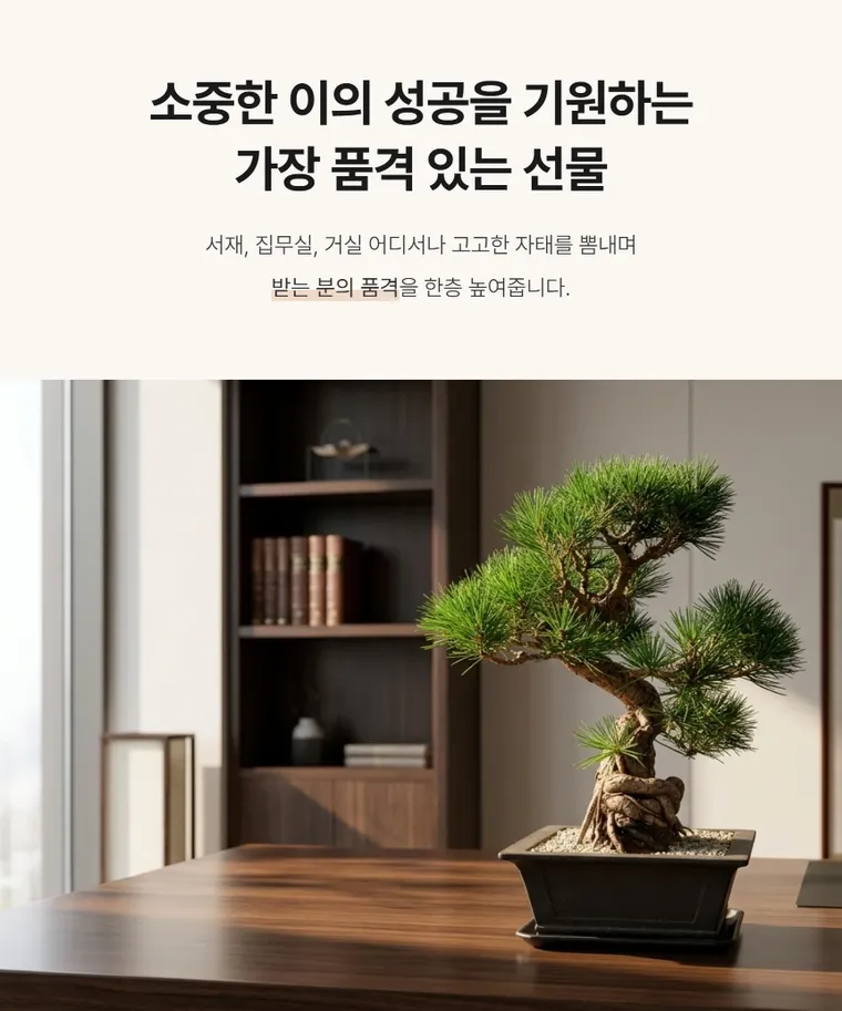 소나무분재 B — 상품 상세