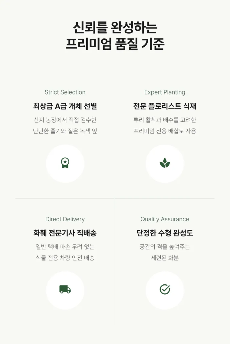 관음죽 — 상품 상세