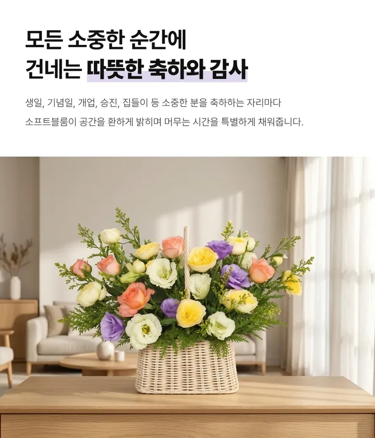 소프트블룸 — 상품 상세
