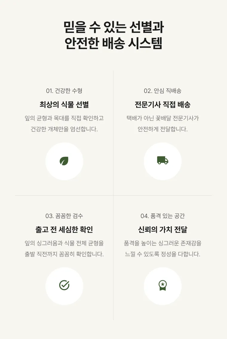떡갈고무나무 A — 상품 상세