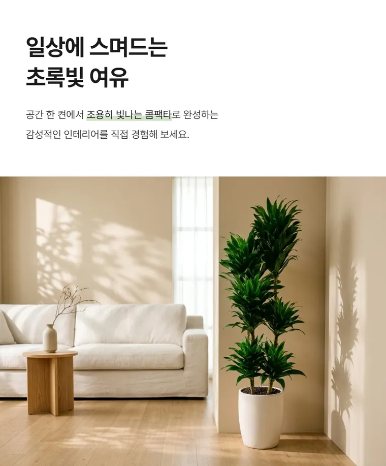 Compacta A — Hình chi tiết
