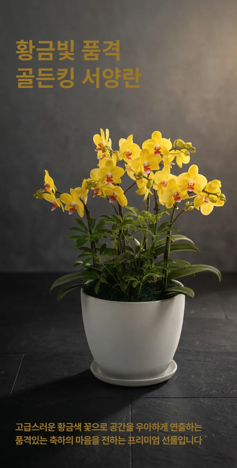 Lan hồ điệp Golden King — Hình chi tiết