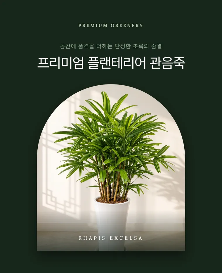 관음죽 — 상품 상세