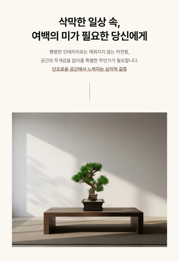 소나무분재 B — 상품 상세
