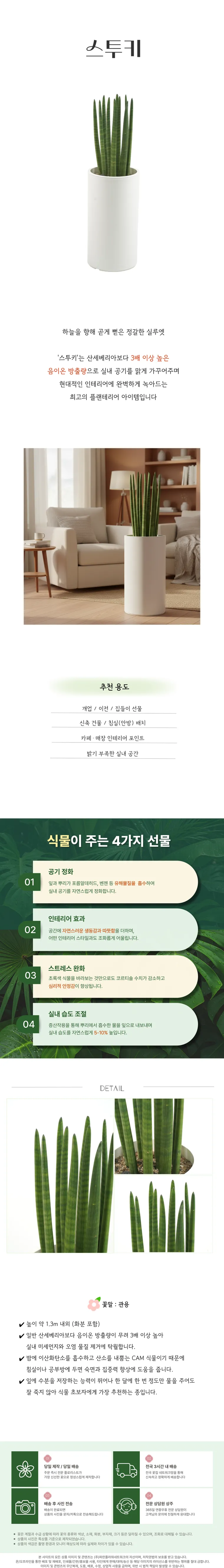 스투키 — 상품 상세