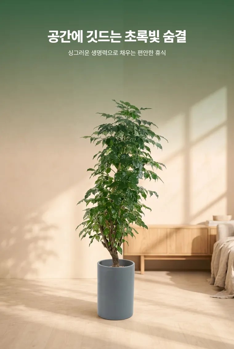 China Doll Plant A — Detail images