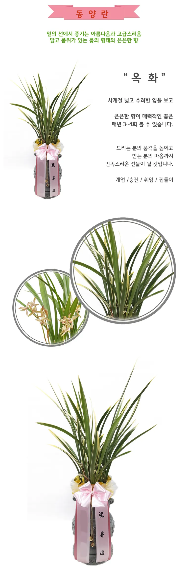 Okhwa (Decorative Pierced Pot · Summer) — Detail images