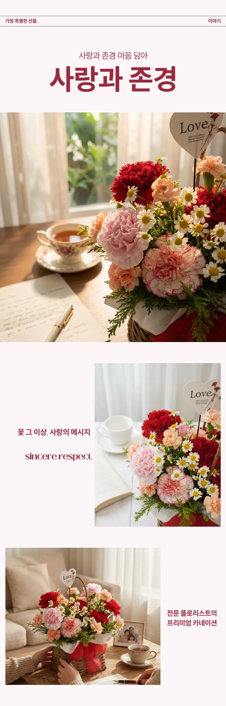 Hoa cẩm chướng C — Hình chi tiết