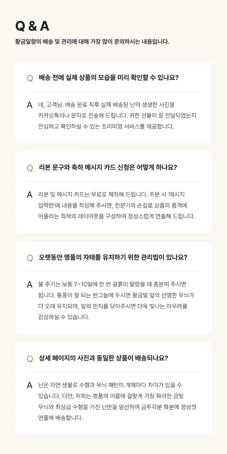 황금일향(금투각분) — 상품 상세