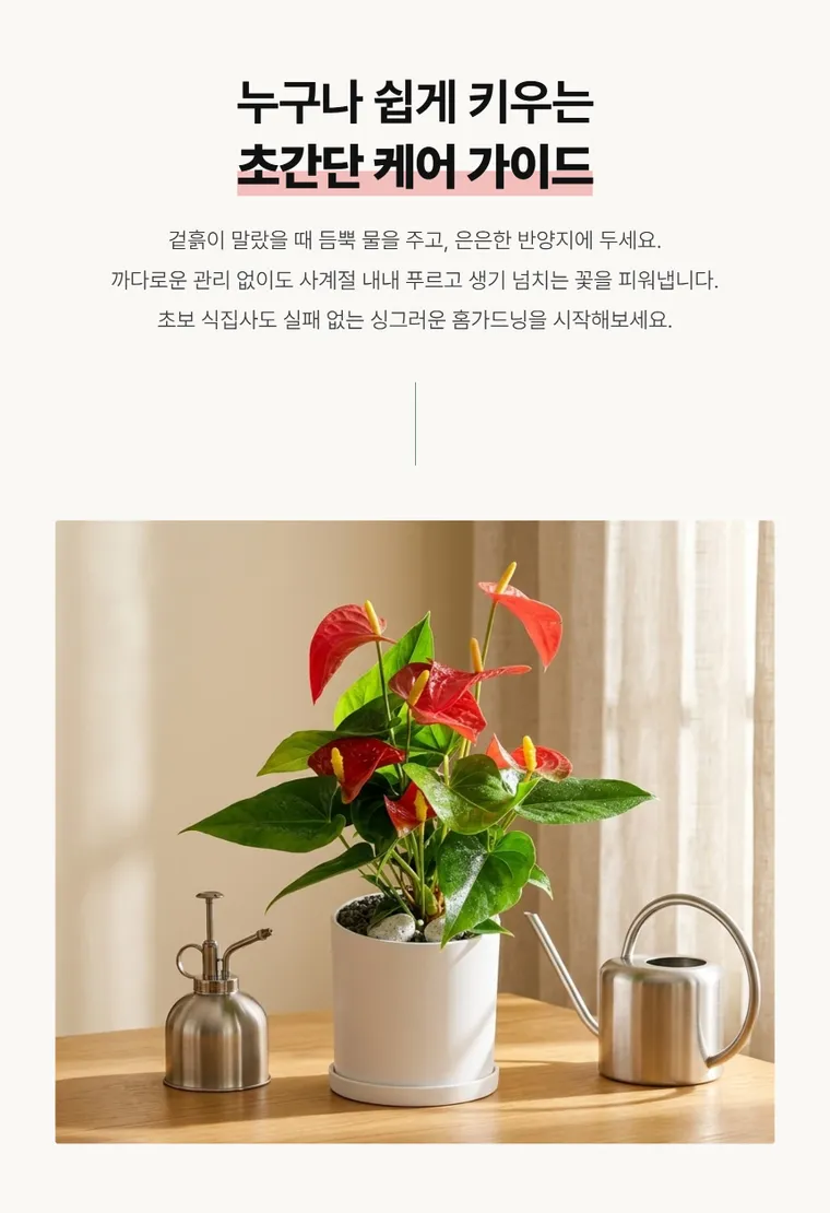 안시리움 T — 상품 상세