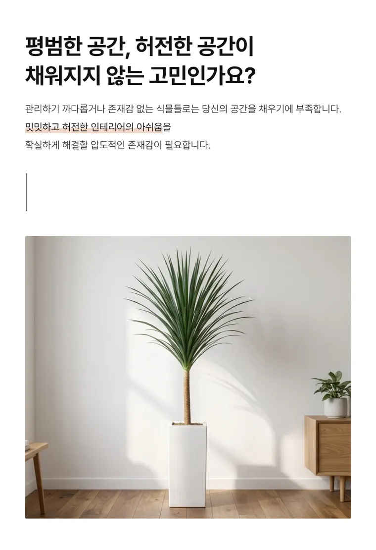 龙血树 B — 详情图