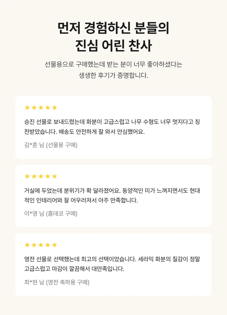 소나무분재 B — 상품 상세
