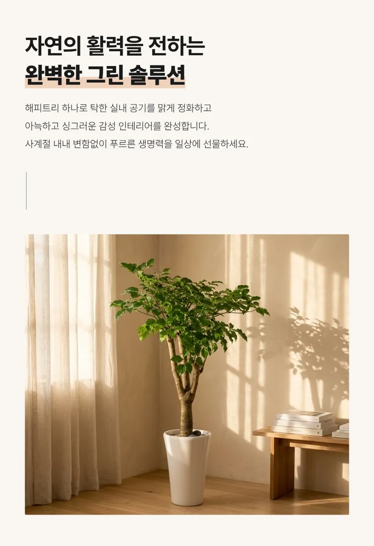 Cây hạnh phúc A — Hình chi tiết