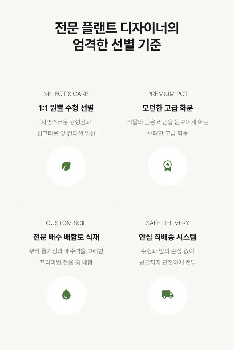 율마 — 상품 상세