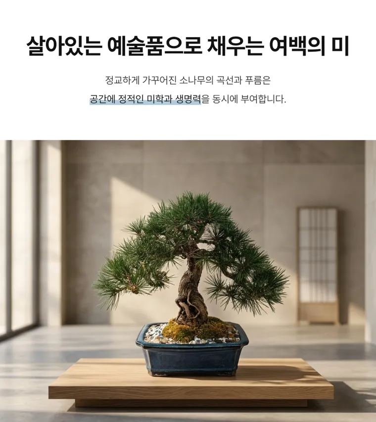 松树盆景 A — 详情图