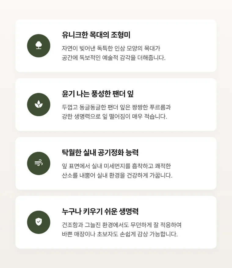 인삼팬더 — 상품 상세