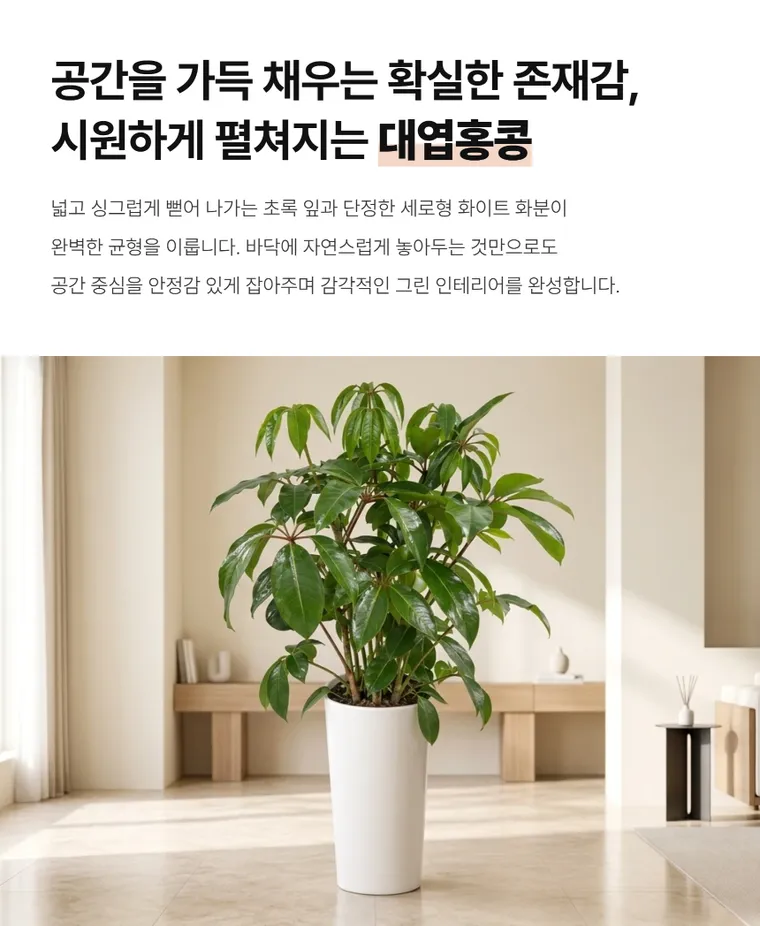Umbrella Tree — Detail images
