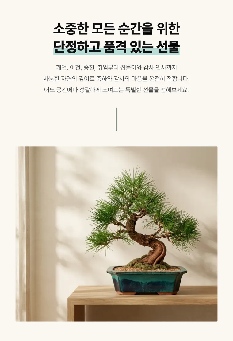 해송 C — 상품 상세