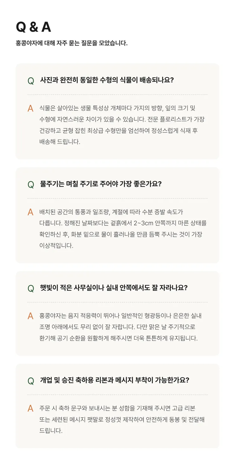 鹅掌柴 — 详情图