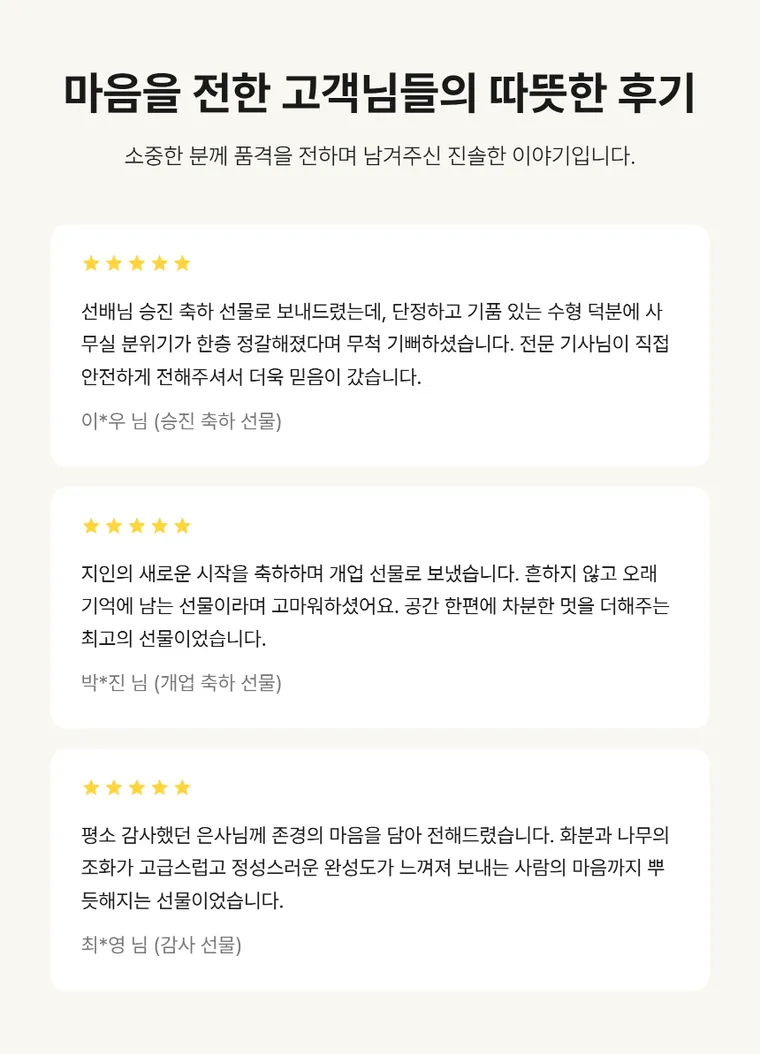 소나무분재 C — 상품 상세