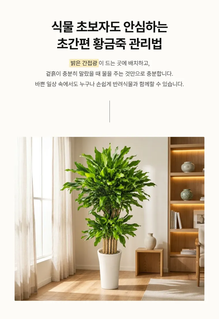 황금죽 A — 상품 상세