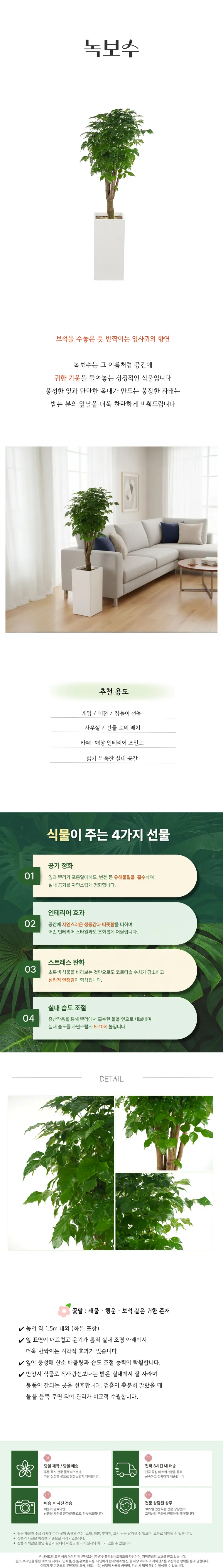 녹보수 A — 상품 상세
