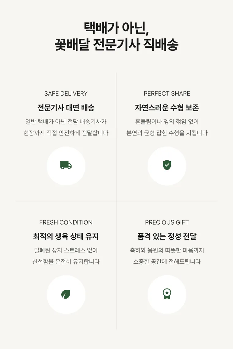 파키라 A — 상품 상세