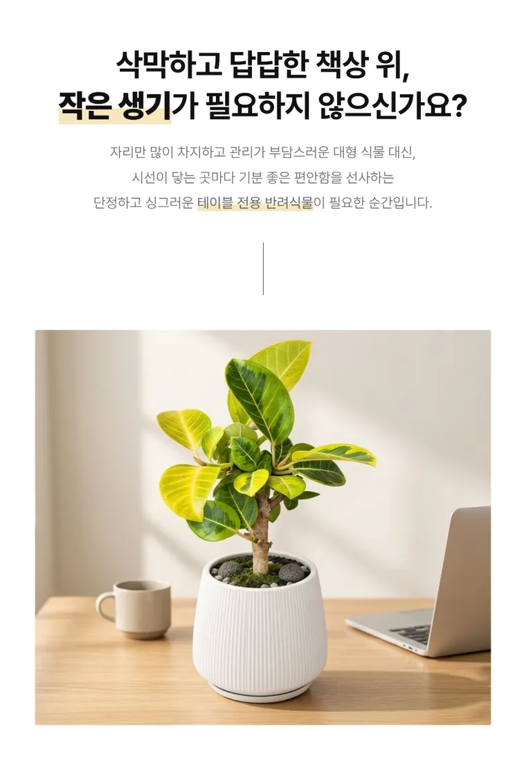 뱅갈고무나무 T — 상품 상세