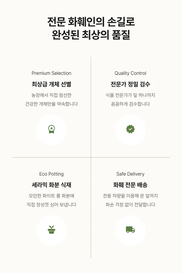 황금죽 A — 상품 상세