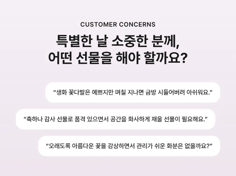 라벤더 볼 — 상품 상세