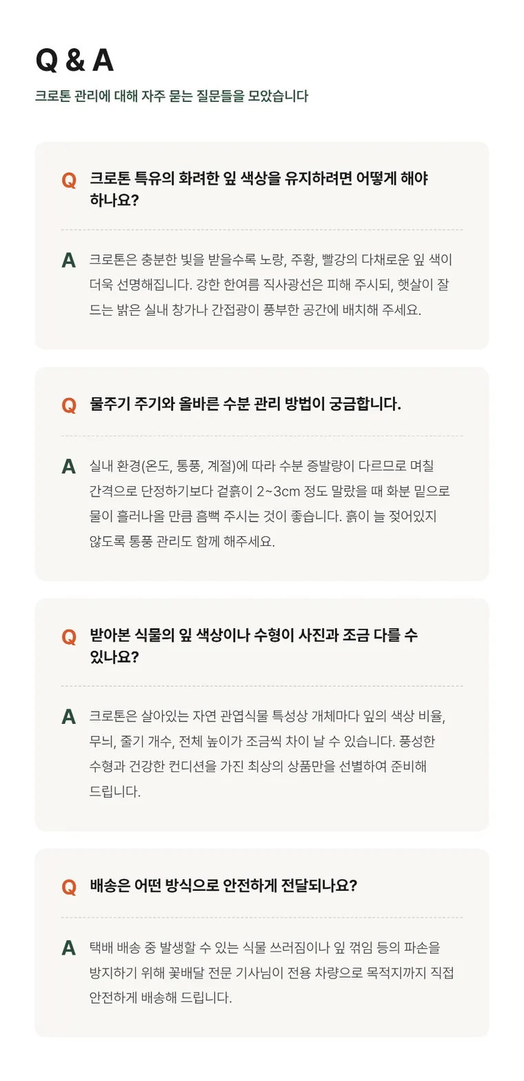 크로톤 A — 상품 상세