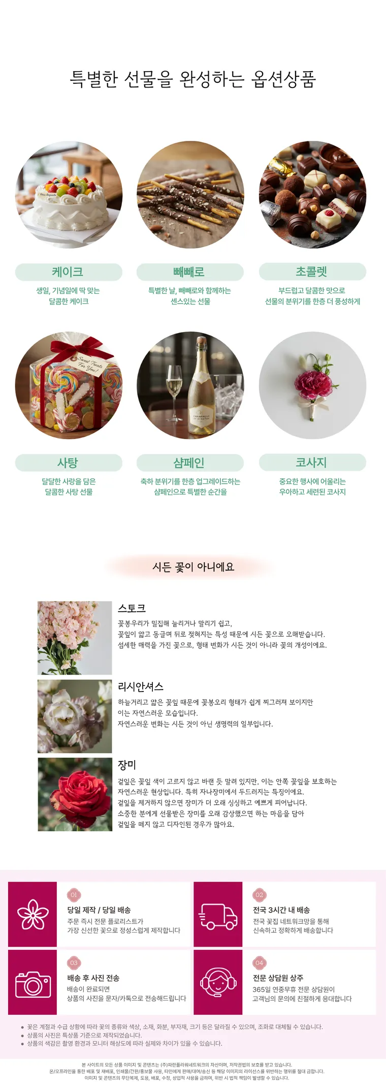 카네이션 A — 상품 상세
