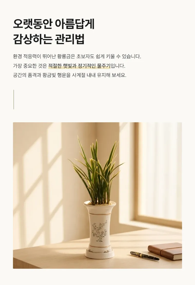 Hwangryonggeum — Detail images